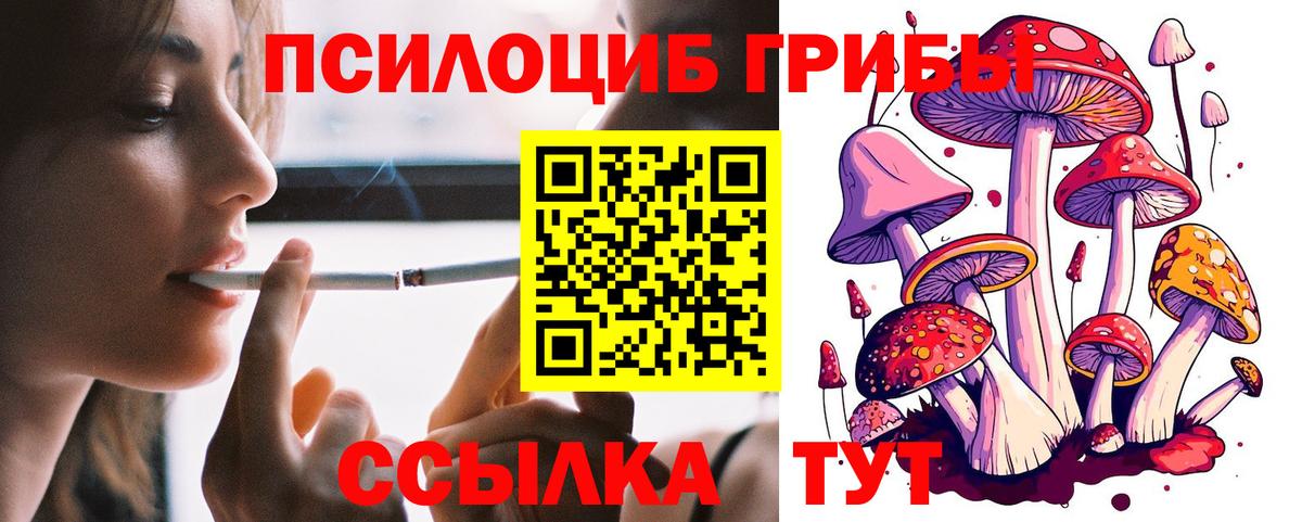 Галлюциногенные грибы MAGIC MUSHROOMS Лобня